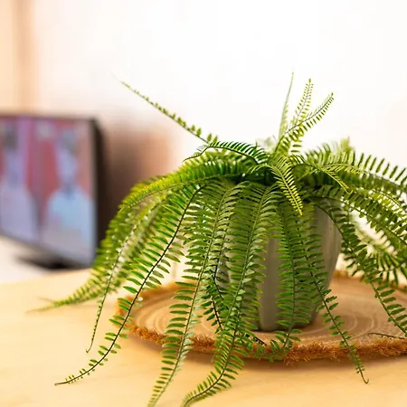 Trilocale Vi20, Vicenza - Adria - Family Apartment *